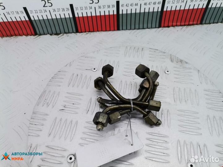 Трубка топливная Alfa Romeo 166 936 2001 55194971