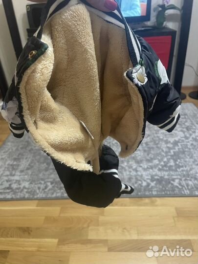 Одежда теплая для мини собак