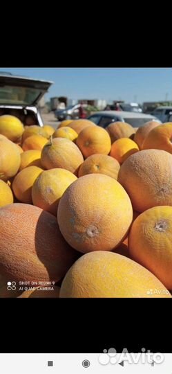 Растеневодство Семена Арбуза Дыней