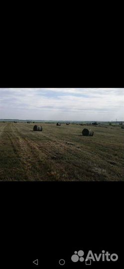 Сено в тюках, атава