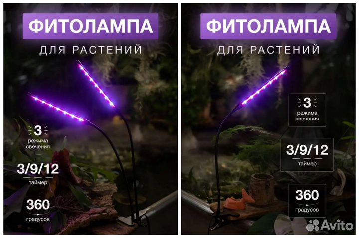 Фитолампа для растений. Новое