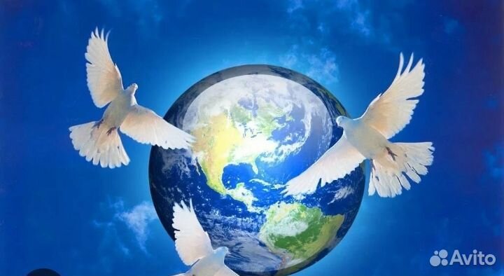 Контрактник