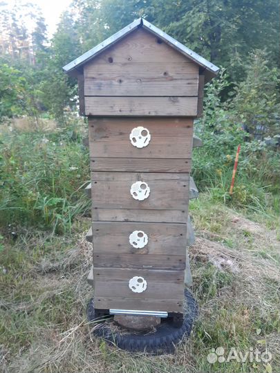 Улей для пчёл системы Варрэ