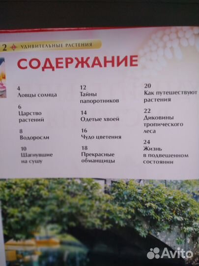 Детская энциклопедия