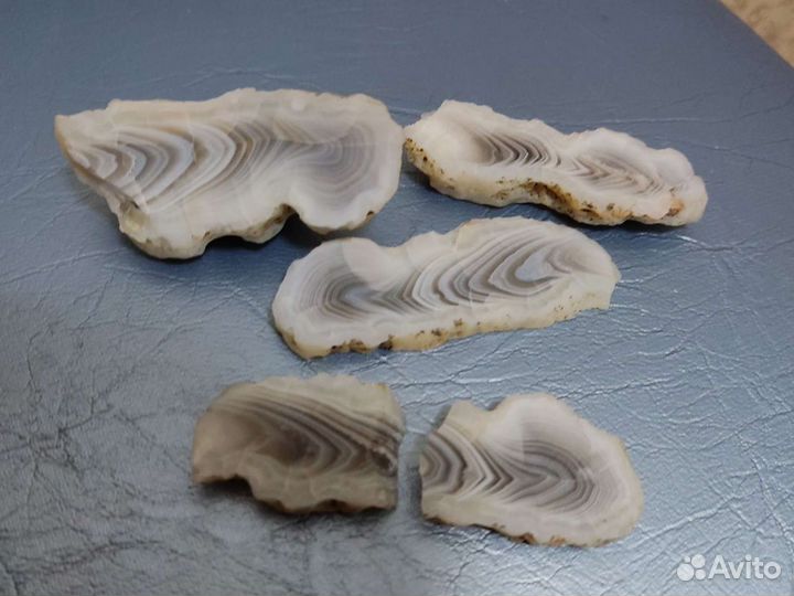 Камни и минералы коллекция