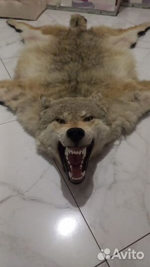 Волк сибирский (ковер )
