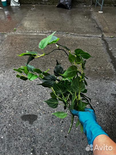 Зелень искуственная для декора