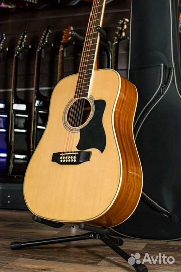 12-струнная акустическая гитара Homage + Аксессуар