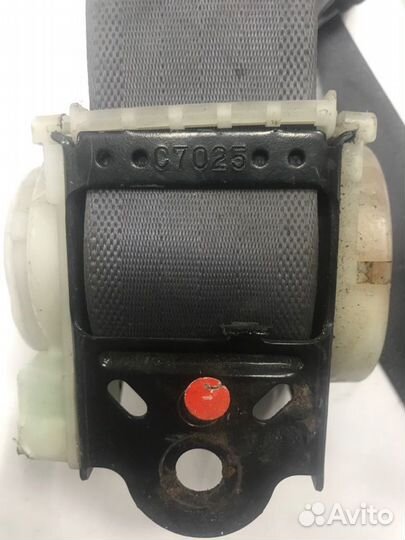 Ремень безопасности Toyota Ipsum CXM10G 3CTE