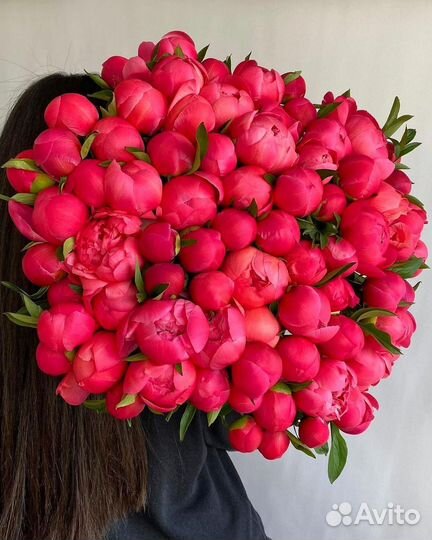 Пионы букет