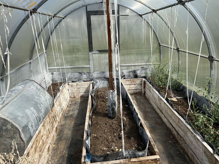 Участок 8 сот. (ИЖС)