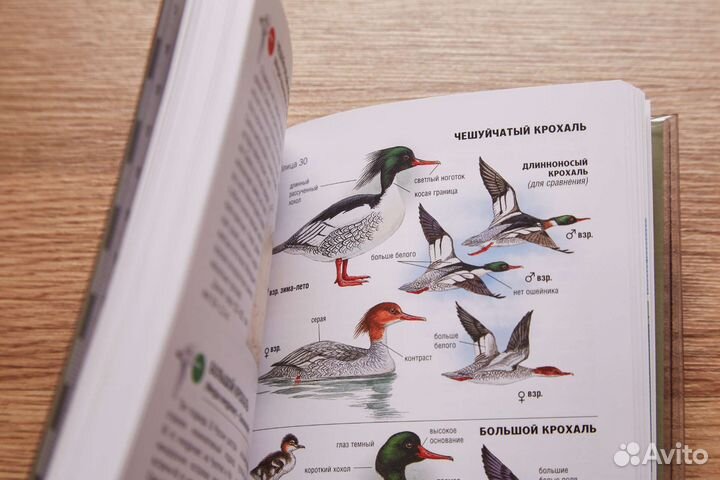 Книги об охоте и рыбалке