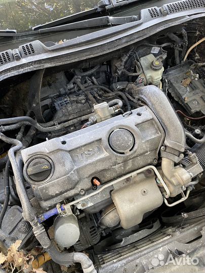 Skoda octavia a5 на разбор