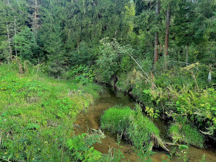 Участок 6 сот. (ИЖС)