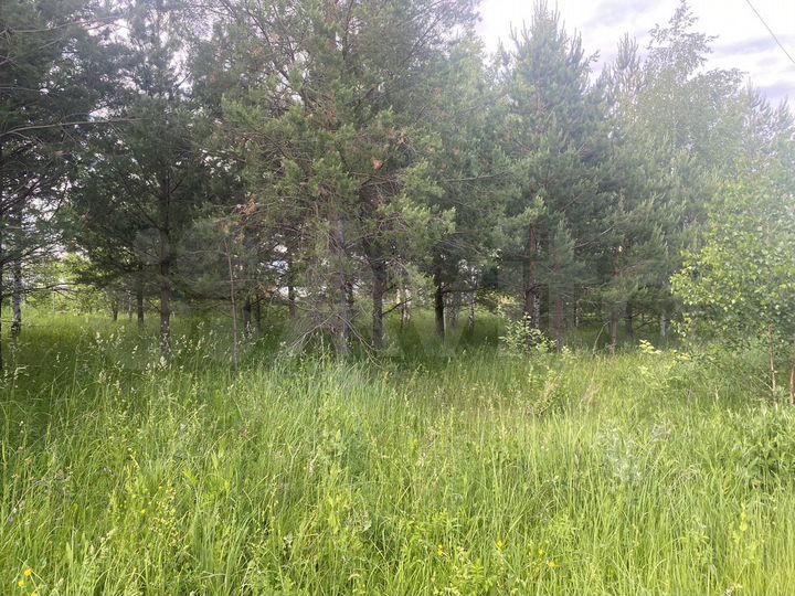 Участок 6 сот. (СНТ, ДНП)