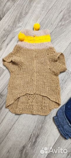 Одежда для собаки