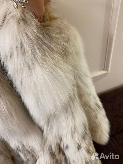 Шуба рысь