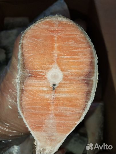 Хвосты Лосося