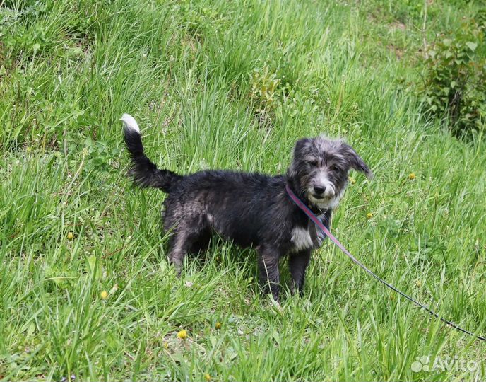 Манечка в семью