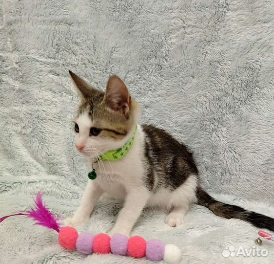 Совсем ещё крошка