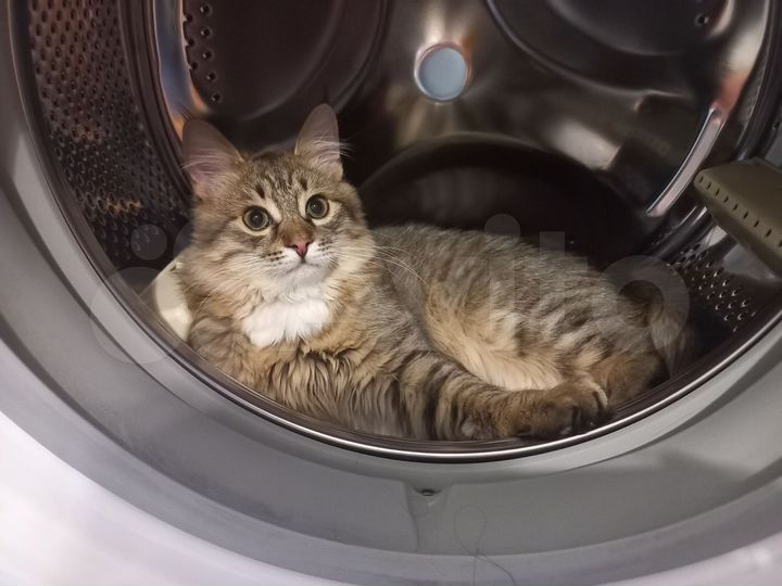 Комната 18 м² в 3-к., 8/14 эт.