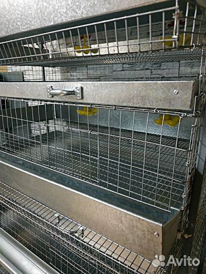 Клетка для перепелов 5 секций