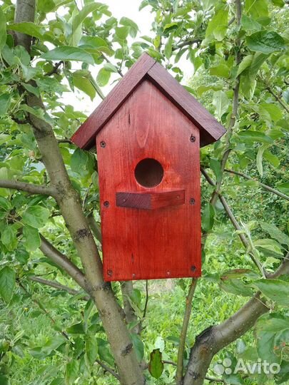 Скварешник