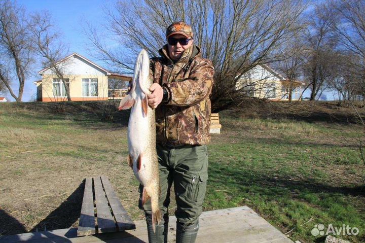 Аренда Катера. Дельта.Рыбалка в Астрахани.Прогулки