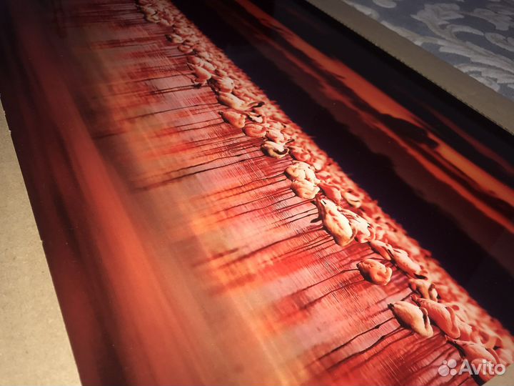 Фотография на стекле