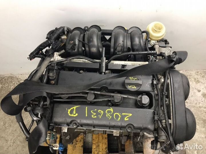 Двс Ford Focus II (2005—2008) 1.6 hxda