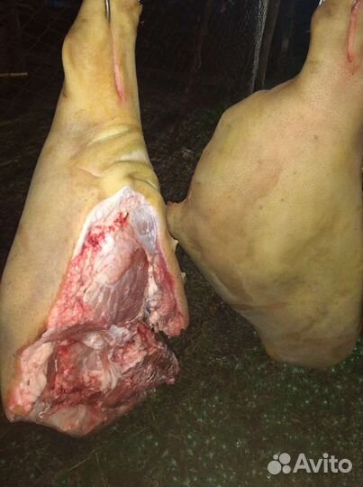 Мясо свинина домашняя