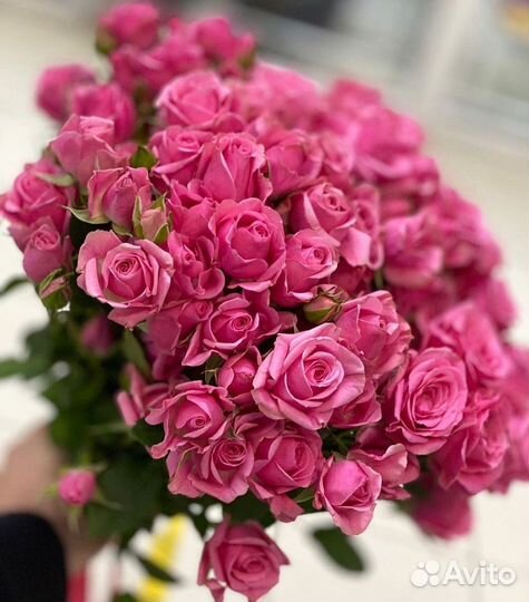 Кустовая роза