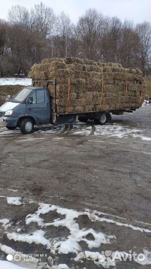 Сено солома перевозка