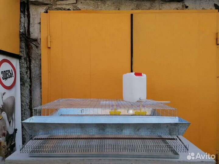 Брудеры для птицы