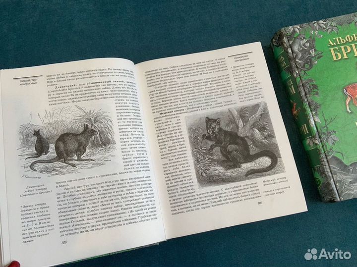 Энциклопедияо животных Звери Альфред Брем