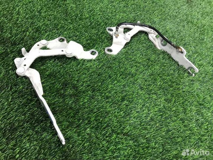 Петля капота передняя Bmw 3 E90 N54B30 2006