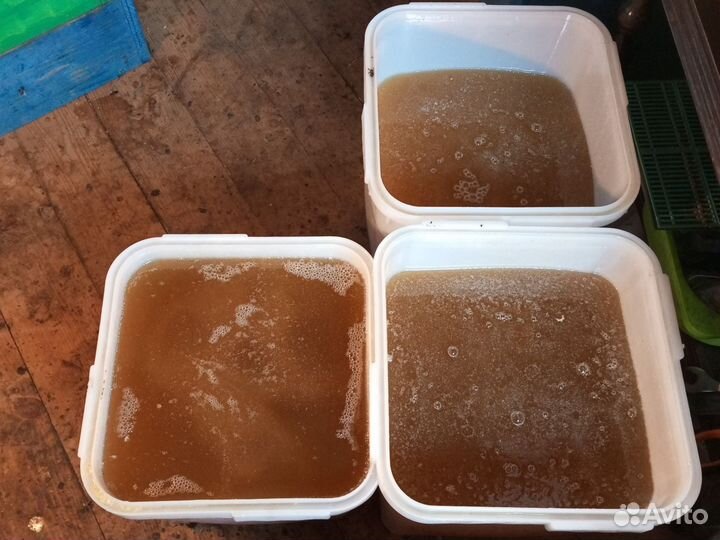 Мед разнотравье оптом