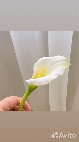 Каллы из холодного фарфора