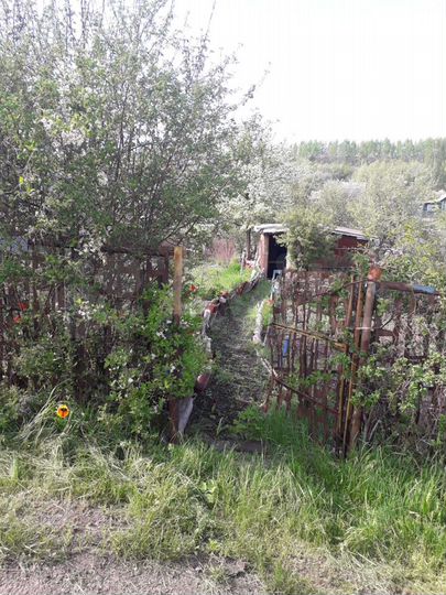 Участок 6 сот. (СНТ, ДНП)