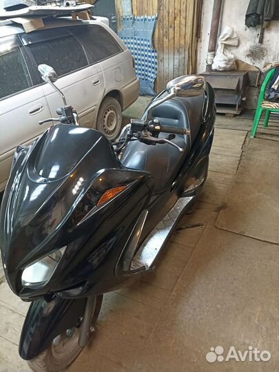 Макси Скутер