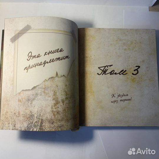 Гравити Фолз Дневник 3