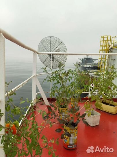 Антенна Модемы и роутеры 4g wi fi