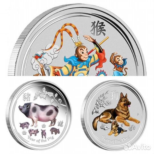 Год свиньи. Собаки. Обезьяны