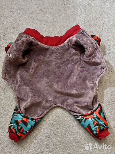 Одежда для собак