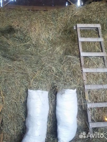 Сено в мешках