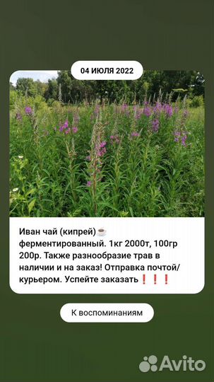 Иван чай ферментированный