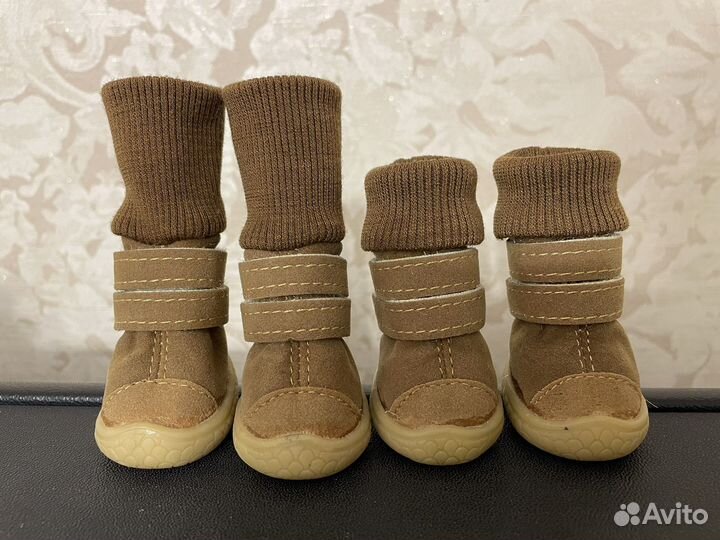 Одежда и обувь для собачки