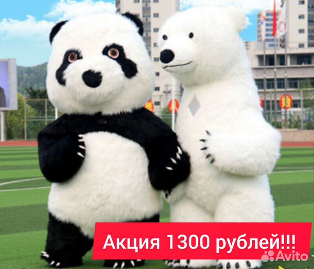 Поздравления белого мишки и панды