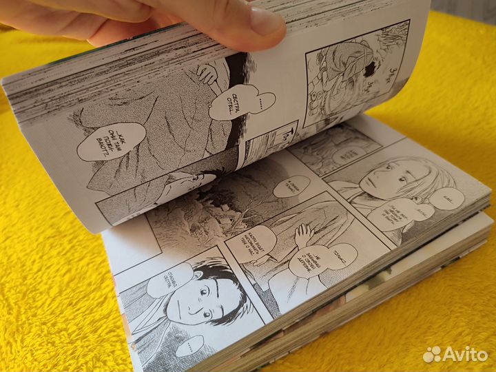 Знаток Муси 4,5 (манга)