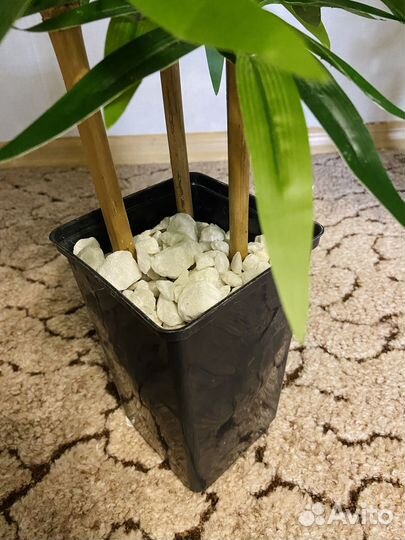 Искусственное растение, дерево Бамбук